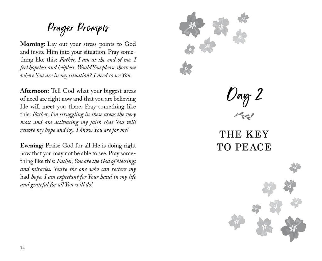 The 30-Day Stress Detox Devotional- Barbour Books-Three Birdies Boutique, Women's Fashion Boutique Located in Kearney, MO